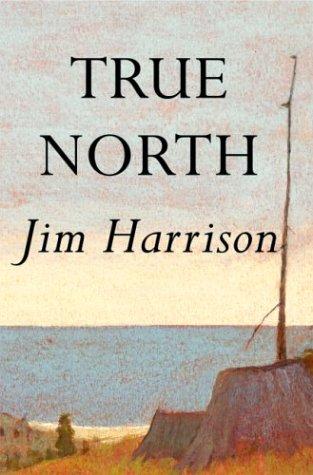 Cover of True north
