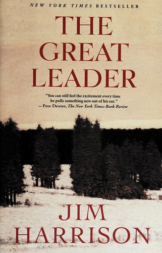 Cover of The great leader