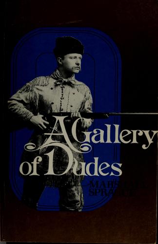 Cover of A gallery of dudes