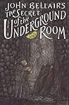 Cover of The Secret of the Underground Room