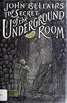 Cover of Secret of the underground room