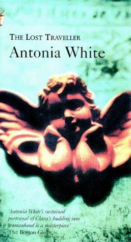 Cover of The lost traveller