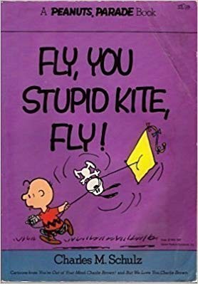 Cover of Fly, You Stupid Kite, Fly