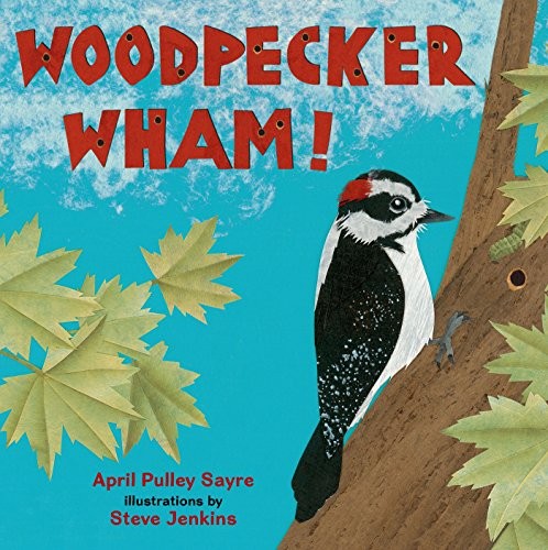 Cover of Woodpecker wham!