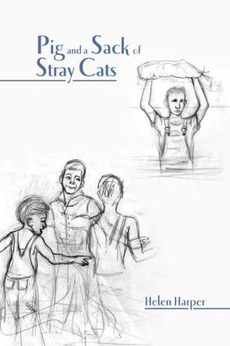 Cover of Pig and a Sack of Stray Cats