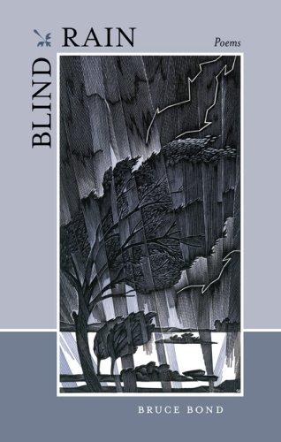 Cover of Blind Rain
