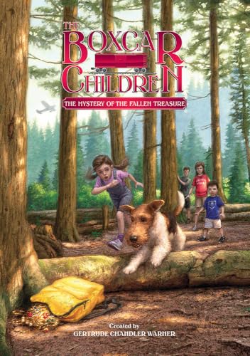 Cover of The Mystery of the Fallen Treasure