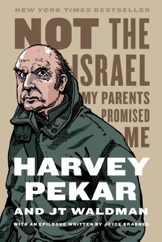Cover of Not the Israel My Parents Promised Me