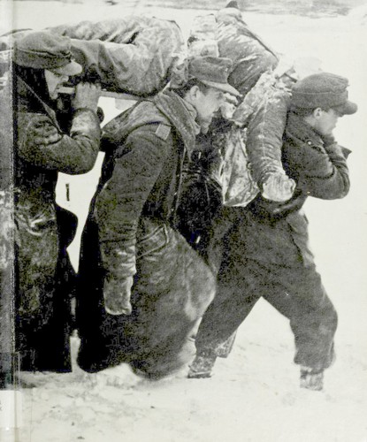 Cover of The Battle of the Bulge