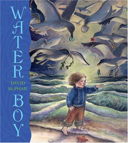 Cover of Water boy