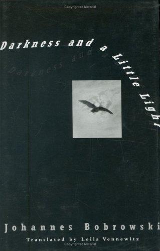 Cover of Darkness and a little light