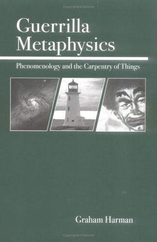 Cover of Guerrilla Metaphysics