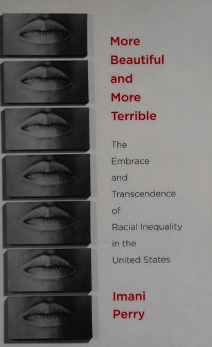 Cover of More Beautiful and More Terrible