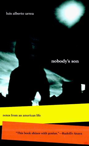 Cover of Nobody's son