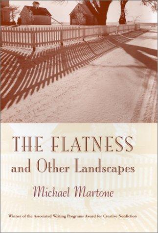 Cover of The flatness and other landscapes