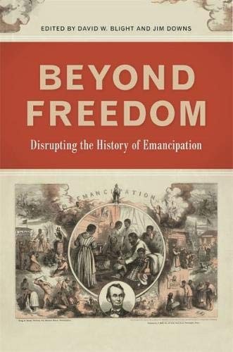 Cover of Beyond Freedom