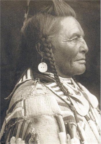 Cover of Chiefs & warriors