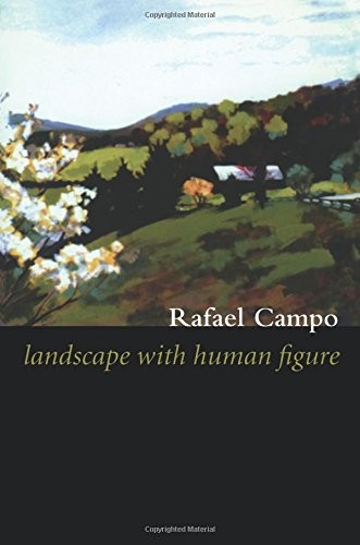 Cover of Landscape with Human Figure
