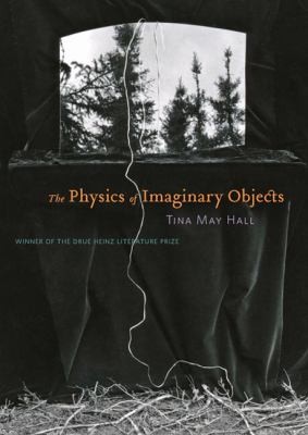 Cover of The Physics Of Imaginary Objects