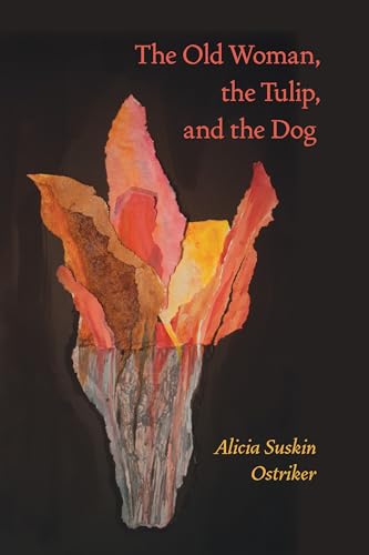 Cover of The Old Woman, the Tulip, and the Dog