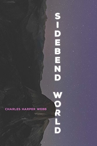 Cover of Sidebend World