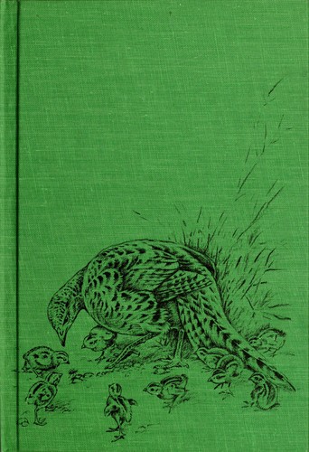 Cover of When flying animals are babies