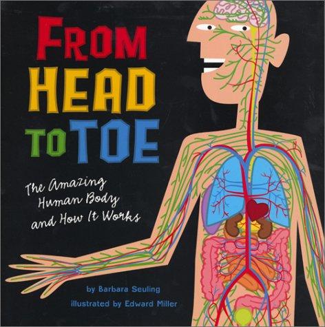 Cover of From Head to Toe
