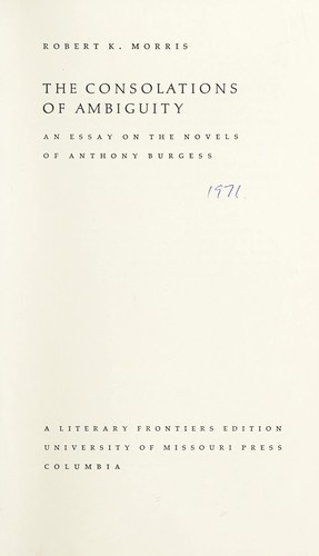Cover of The consolations of ambiguity
