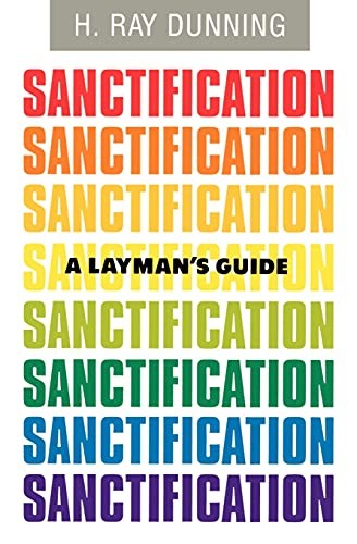 Cover of A laymanʼs guide to sanctification