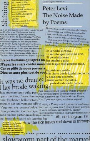 Cover of The noise made by poems