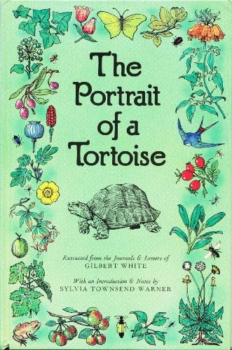 Cover of The portrait of a tortoise