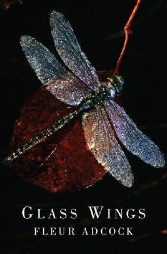 Cover of Glass Wings