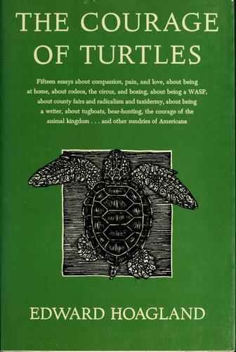 Cover of The courage of turtles