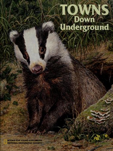 Cover of Towns down underground