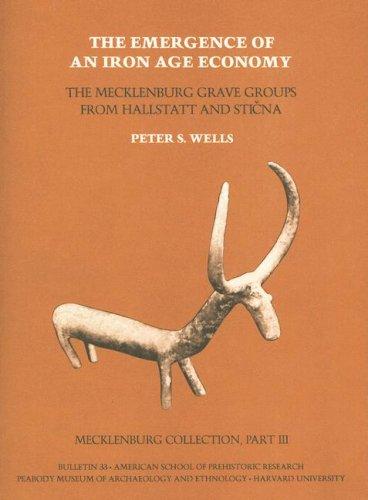 Cover of The emergence of an iron age economy
