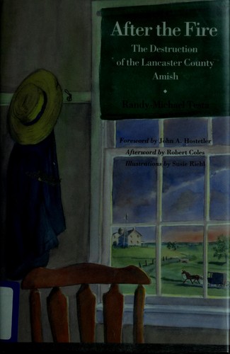 Cover of After the fire
