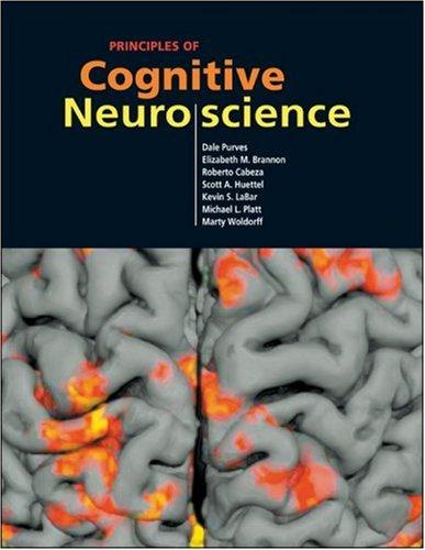 Cover of Principles of cognitive neuroscience