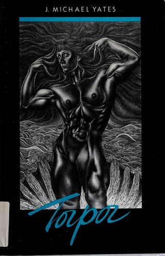 Cover of Torque