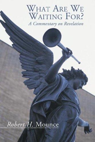 Cover of What are we waiting for?