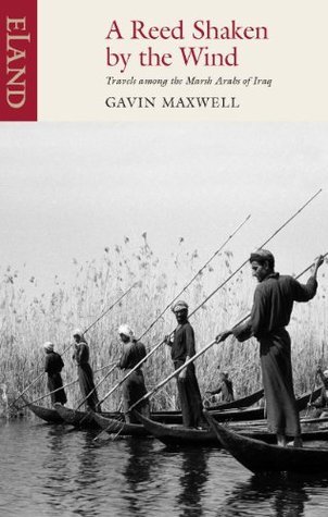 Cover of A Reed Shaken by the Wind: Travels among the Marsh Arabs of Iraq