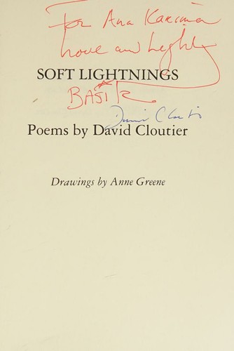 Cover of Soft lightnings