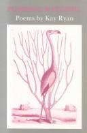 Cover of Flamingo Watching