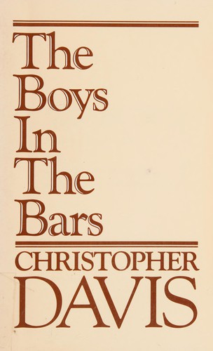 Cover of The boys in the bars