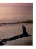 Cover of New Jersey