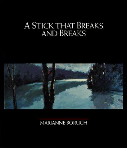 Cover of A stick that breaks and breaks