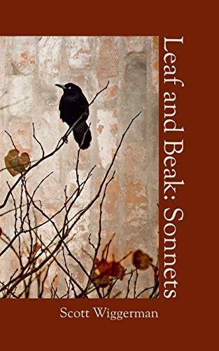 Cover of Leaf and Beak