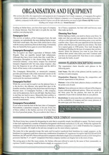 Cover of Flames of war
