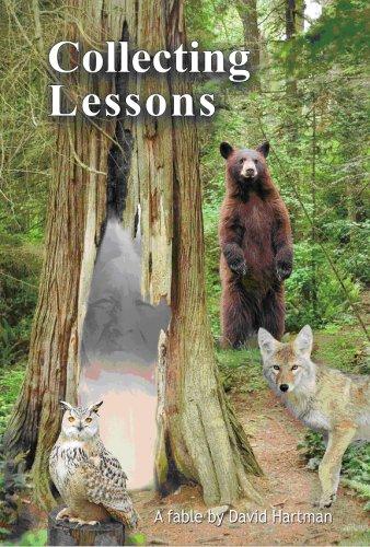 Cover of Collecting Lessons
