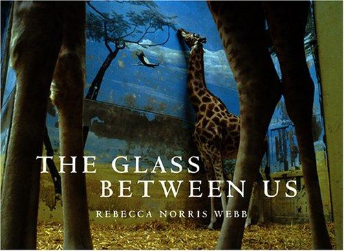 Cover of The Glass Between Us