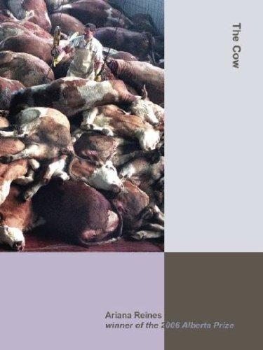 Cover of The Cow